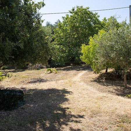 Apricus Domum Διαμέρισμα Κάτω Κορακιάνα Εξωτερικό φωτογραφία