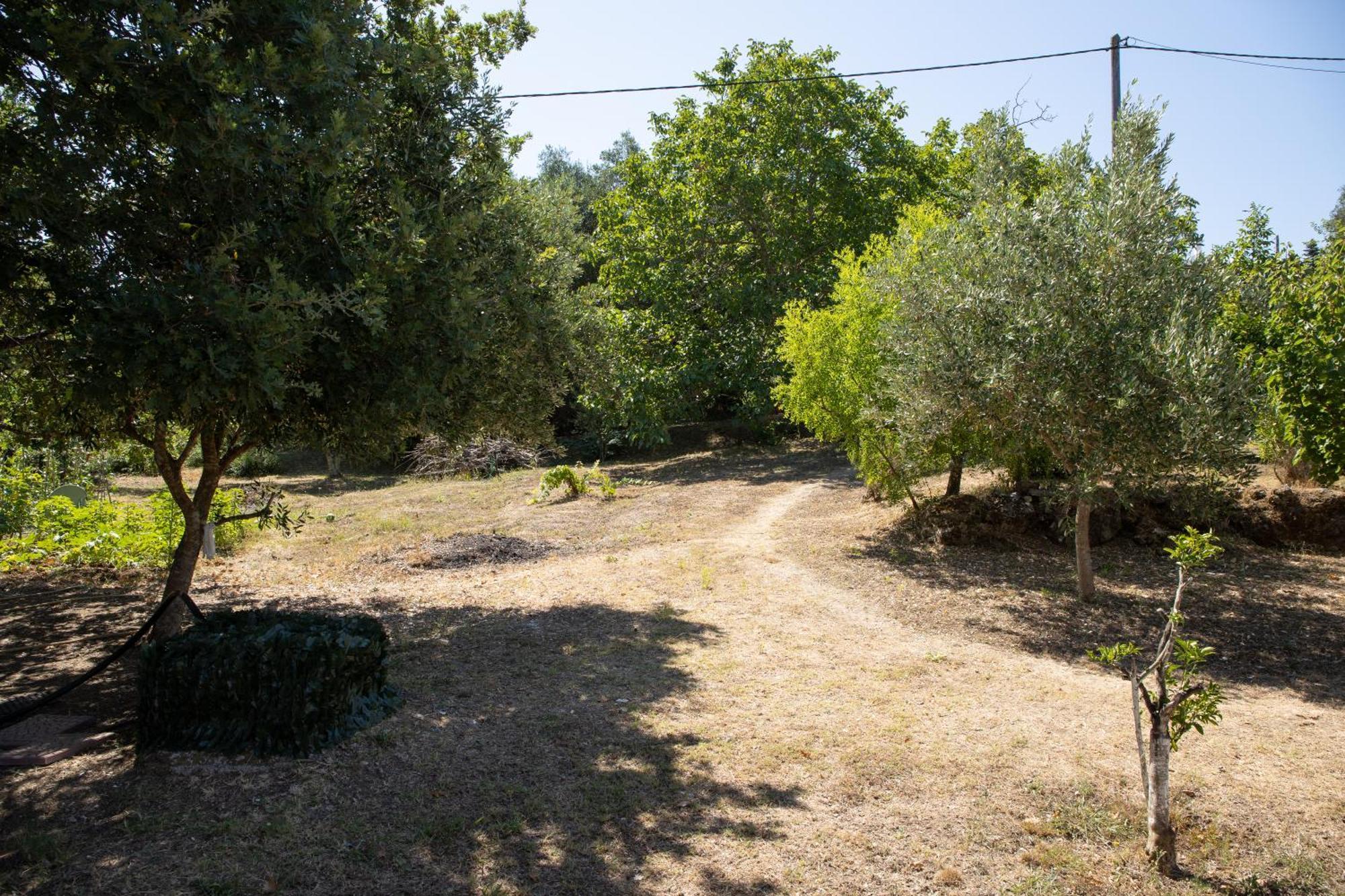 Apricus Domum Διαμέρισμα Κάτω Κορακιάνα Εξωτερικό φωτογραφία