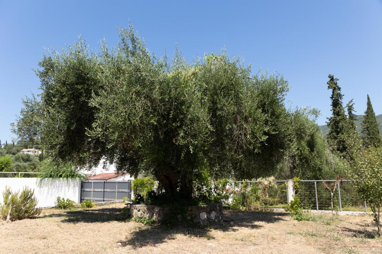 Apricus Domum Διαμέρισμα Κάτω Κορακιάνα Εξωτερικό φωτογραφία